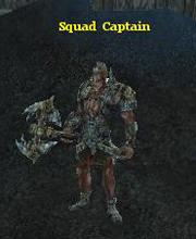 Squad Captain